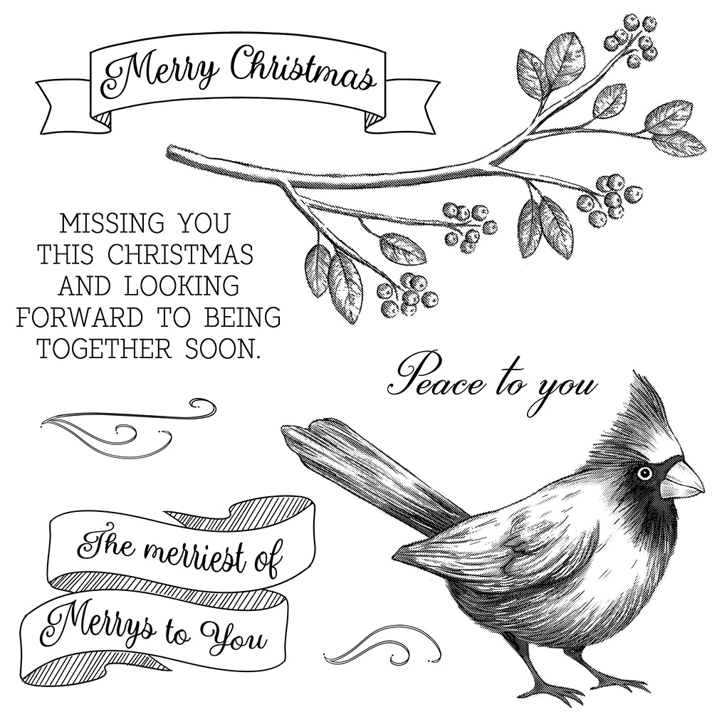 Merry Christmas Bird Olive Branch Dies & Stamps Set