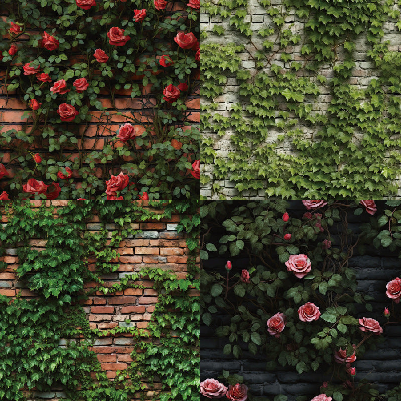 24PCS 6" Roses on Wall Scrapbook Paper & Cardstock