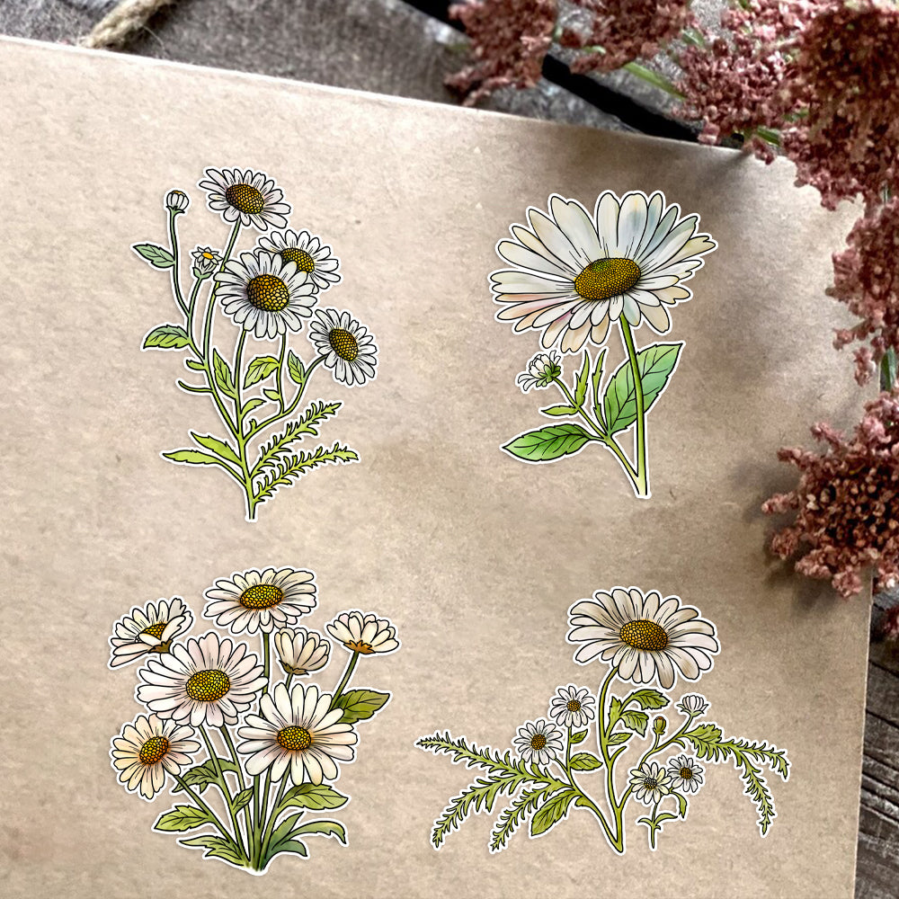 Daisy Flowers Blooming In Spring Dies & Stamps Set
