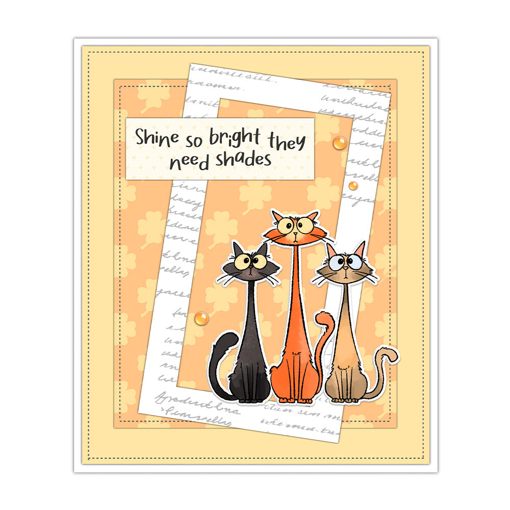 Funny Cats Dies & Stamps Set