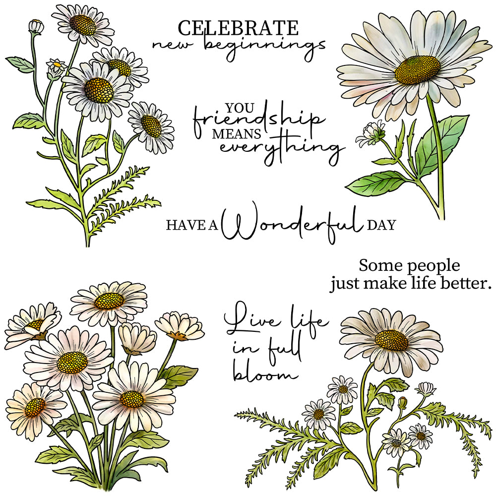 Daisy Flowers Blooming In Spring Dies & Stamps Set