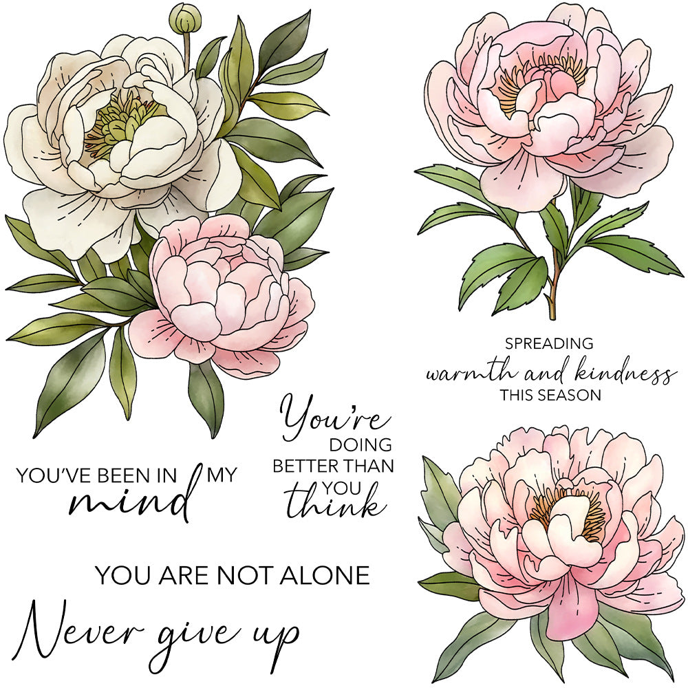 Beautiful Camellia Clear Stamps