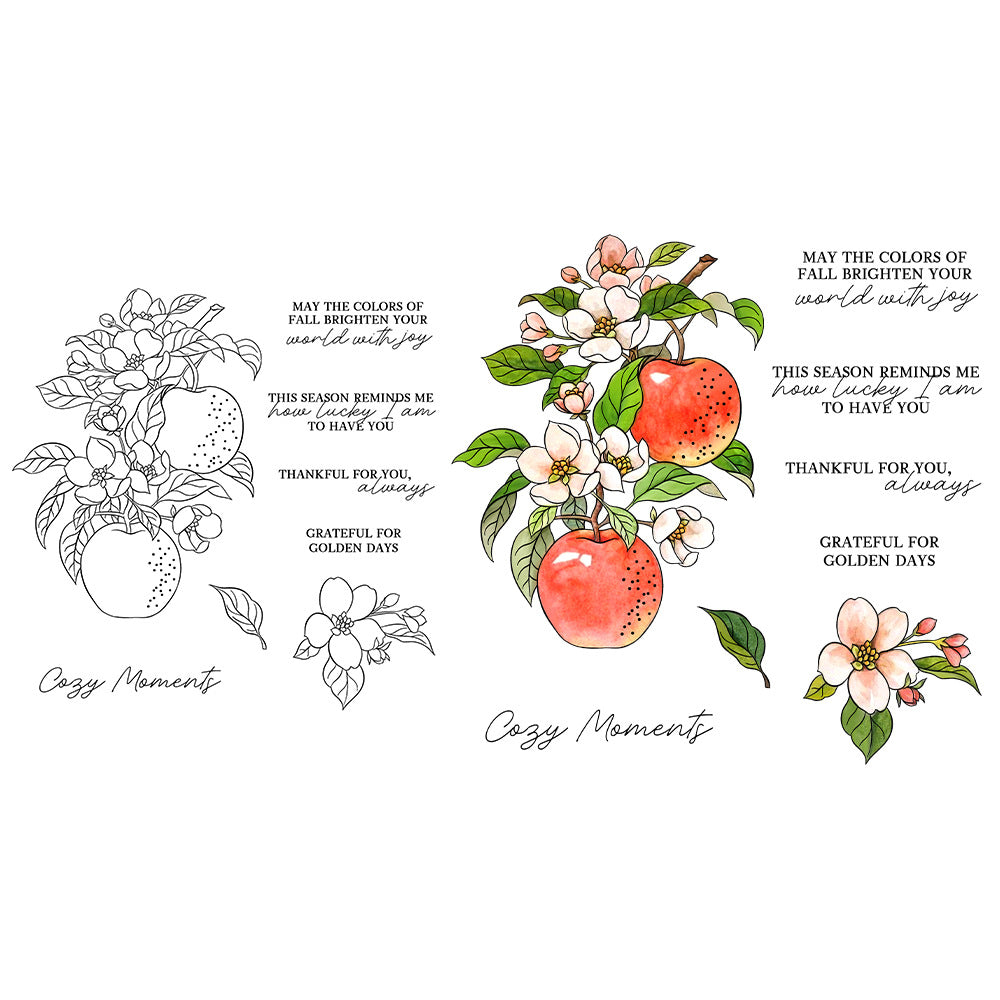 Apples and Flowers Dies & Stamps Set
