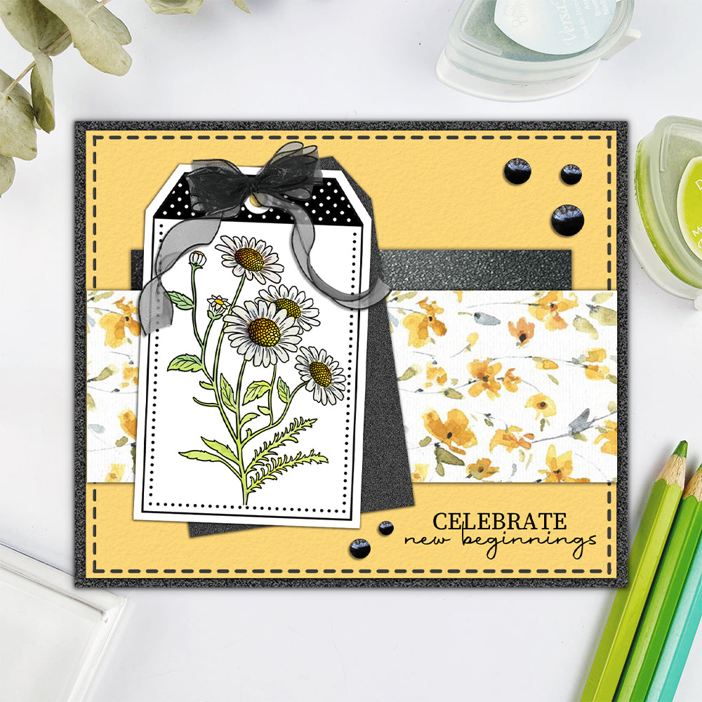 Daisy Flowers Blooming In Spring Dies & Stamps Set