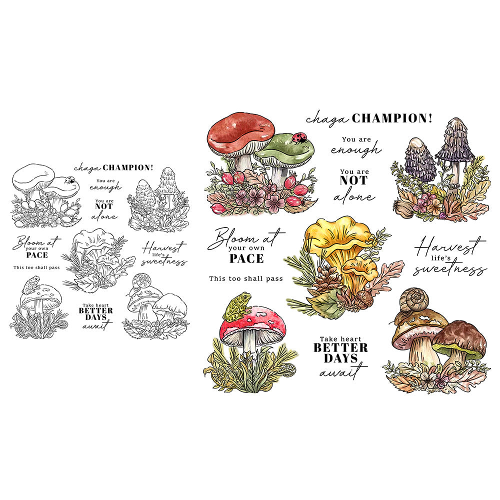 Mushroom Combination Clear Stamps