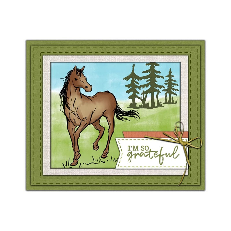 Animal Horse Dies & Stamps Set