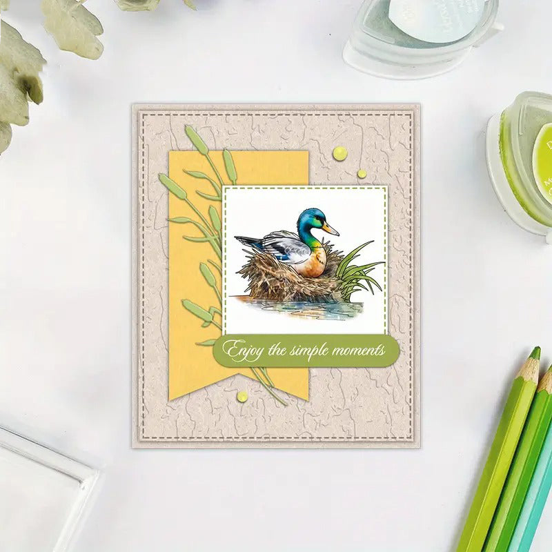 Happy Ducks Dies & Stamps Set
