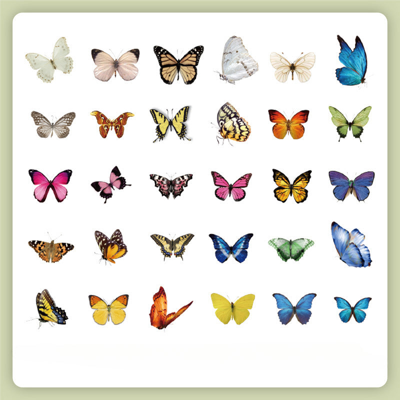 Nature DIY Scrapbooking Stickers