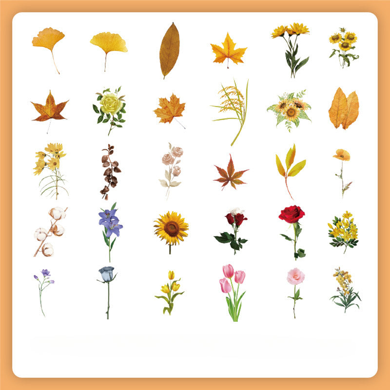 Nature DIY Scrapbooking Stickers