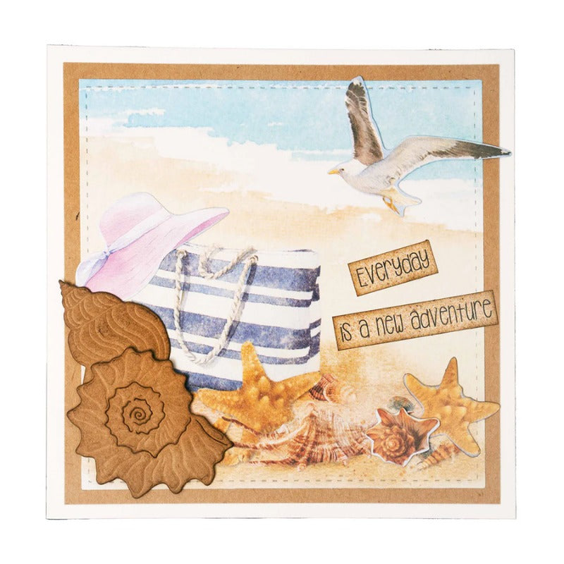 Shell Conch Metal Cutting Dies