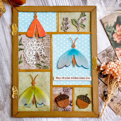 Insects Collection Album Frames Metal Cutting Dies