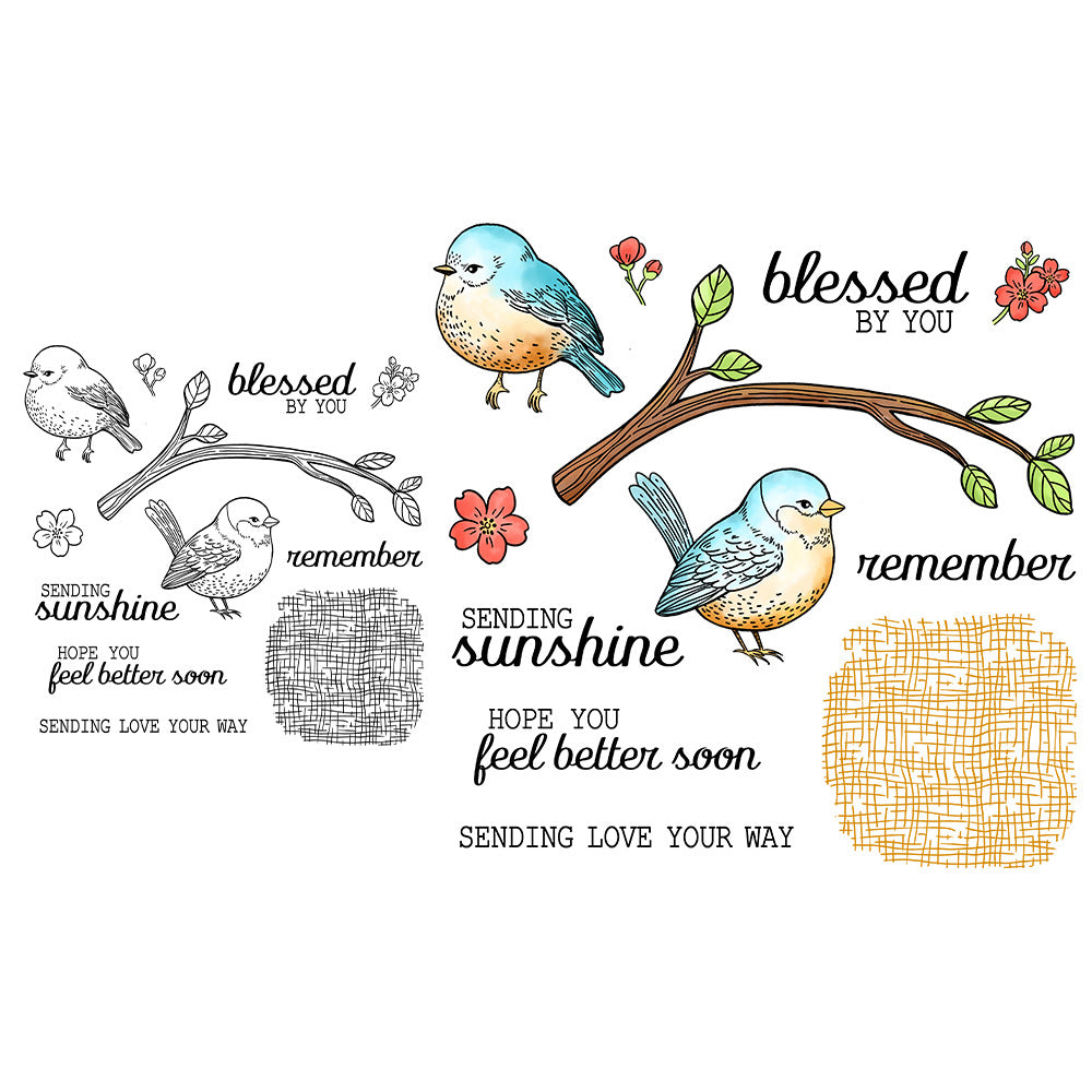 New Bird Series Dies & Stamps Set