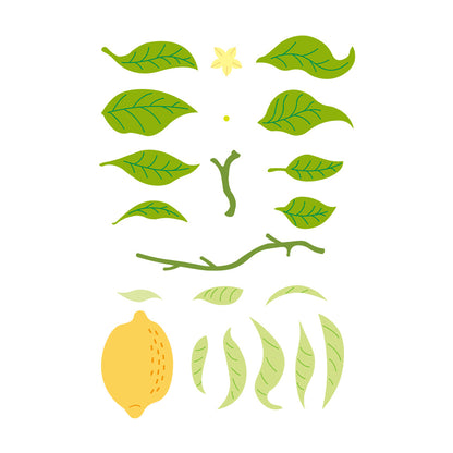 Fresh Lemon Metal Cutting Dies