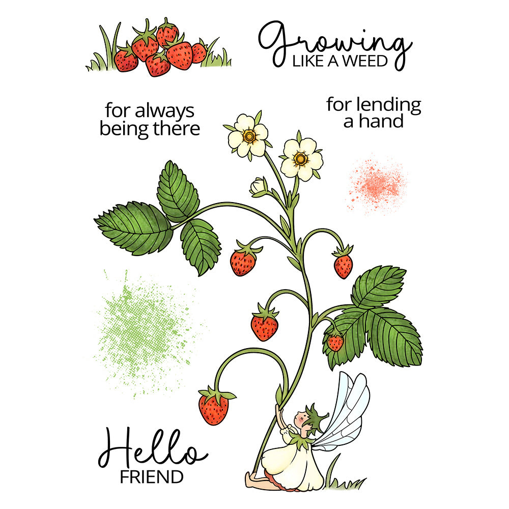 Cute Fairy Strawberry Dies & Stamps Set