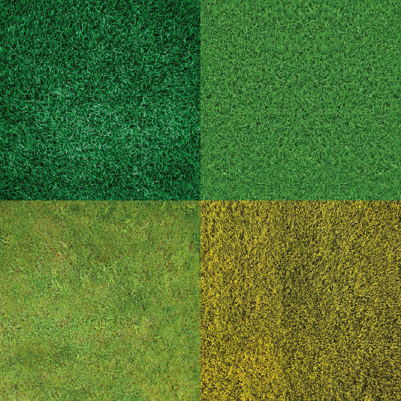 24PCS 6" Green Meadow Scrapbook Paper & Cardstock