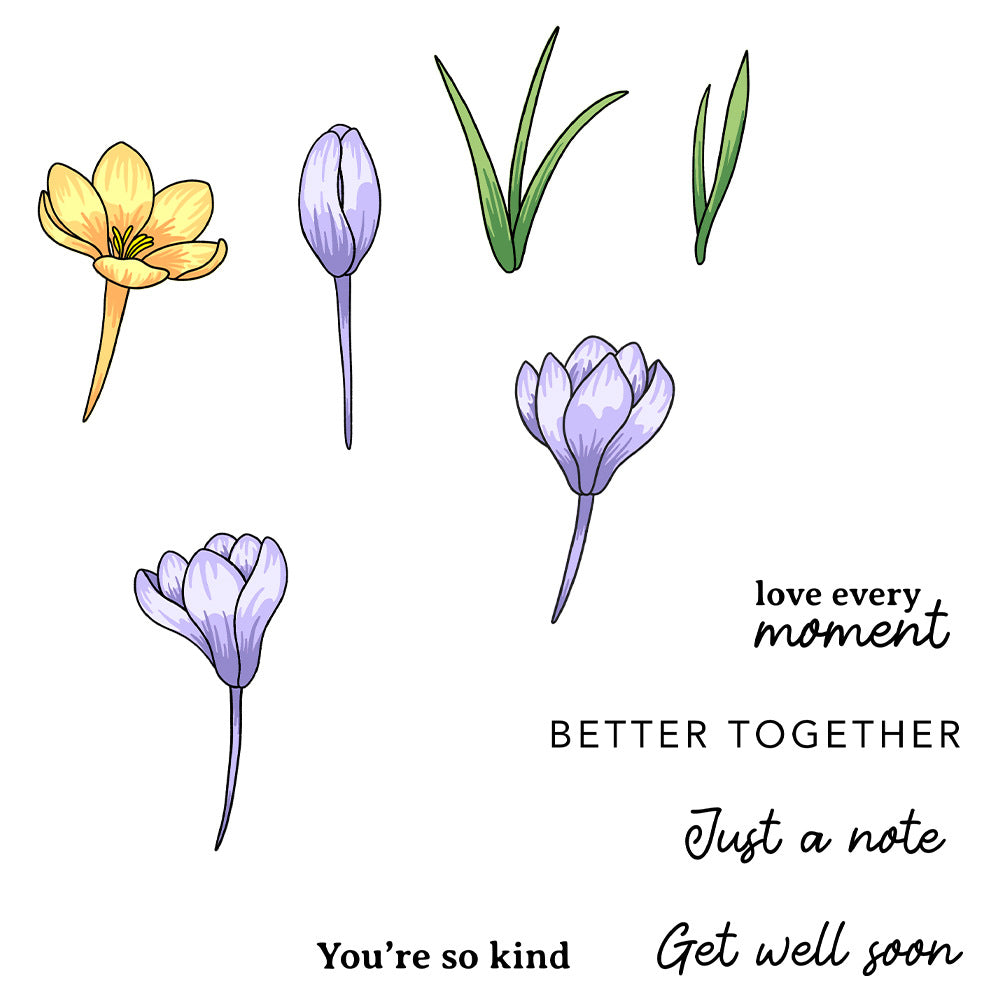 Multicolor Saffron Dies & Stamps Set