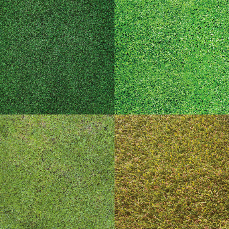24PCS 6" Green Meadow Scrapbook Paper & Cardstock