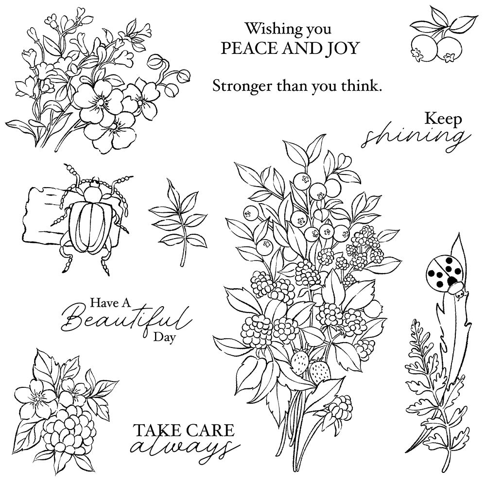 Blueberry Insects Clear Stamps