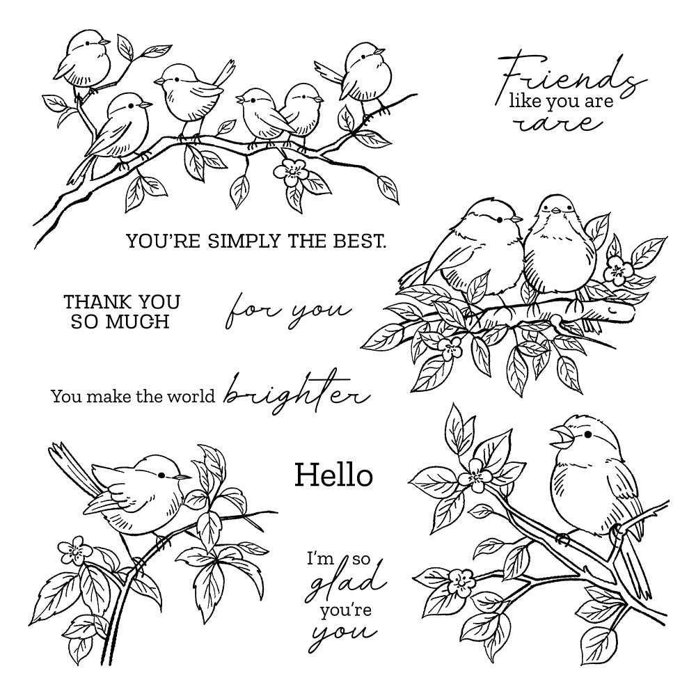 Birds On The Branches Dies & Stamps Set