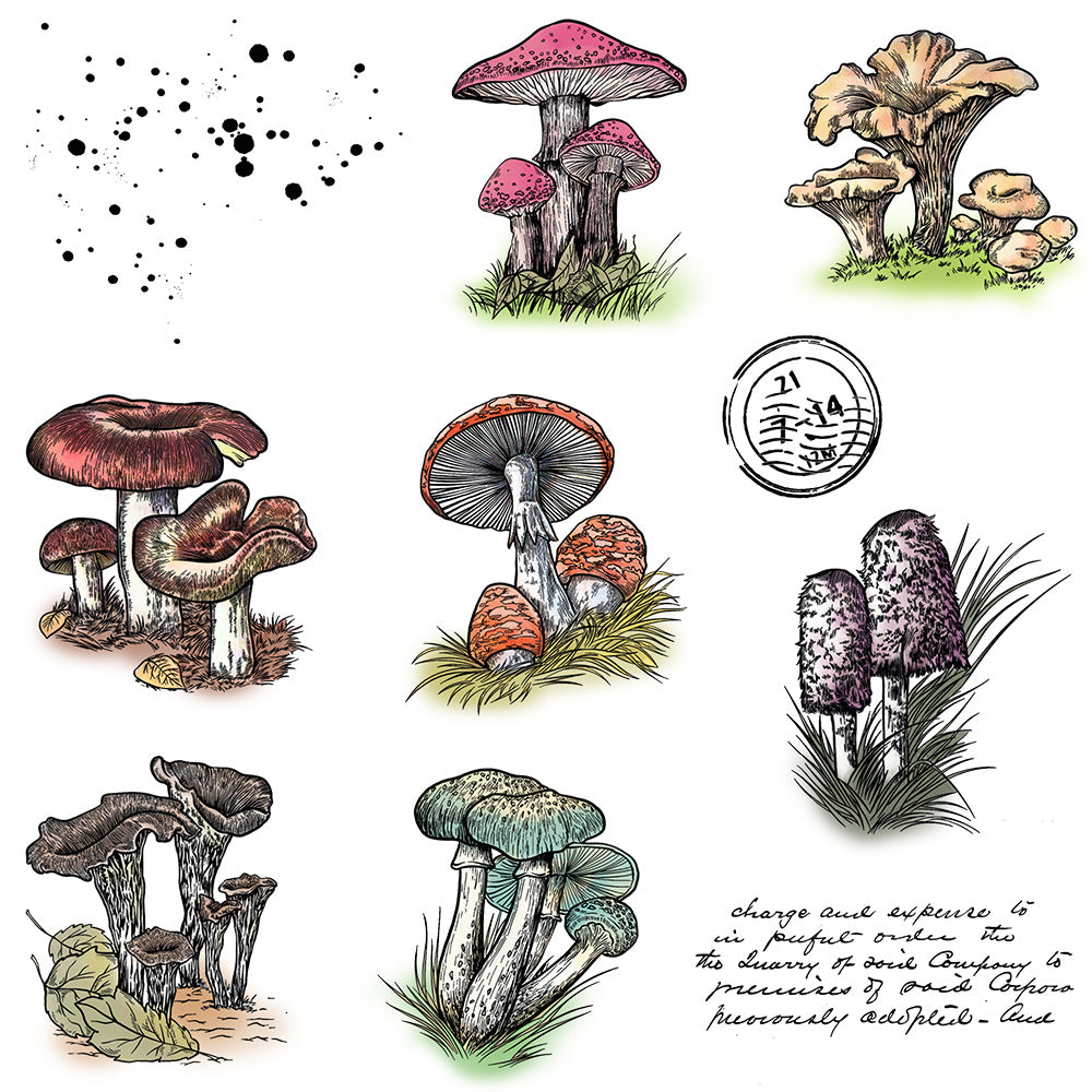 Mushroom Theme Dies & Stamps Set