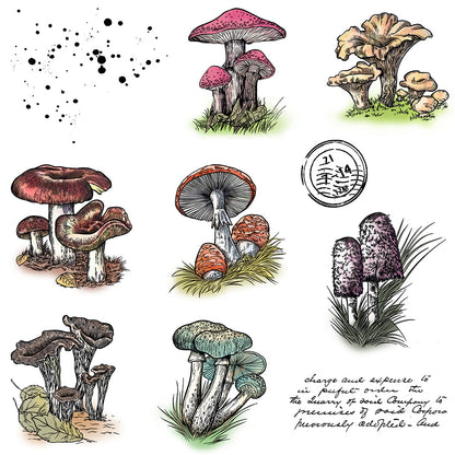 Mushroom Theme Dies & Stamps Set