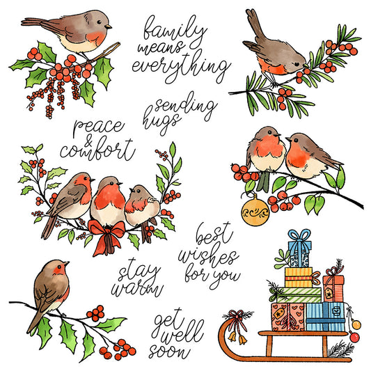 Christmas Birds Dies & Stamps Set