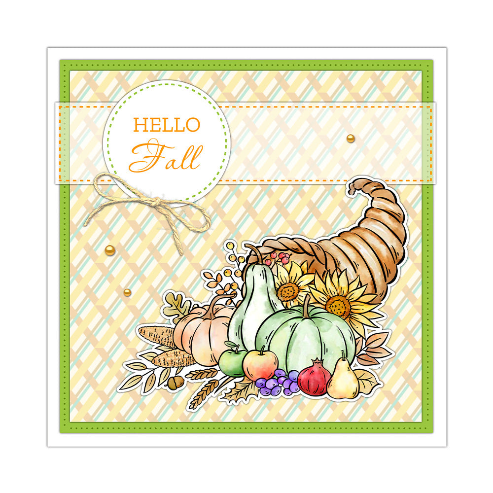 Pumpkin Turkey Clear Stamps