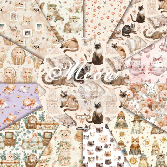 24PCS 6" Meow Scrapbook Paper & Cardstock