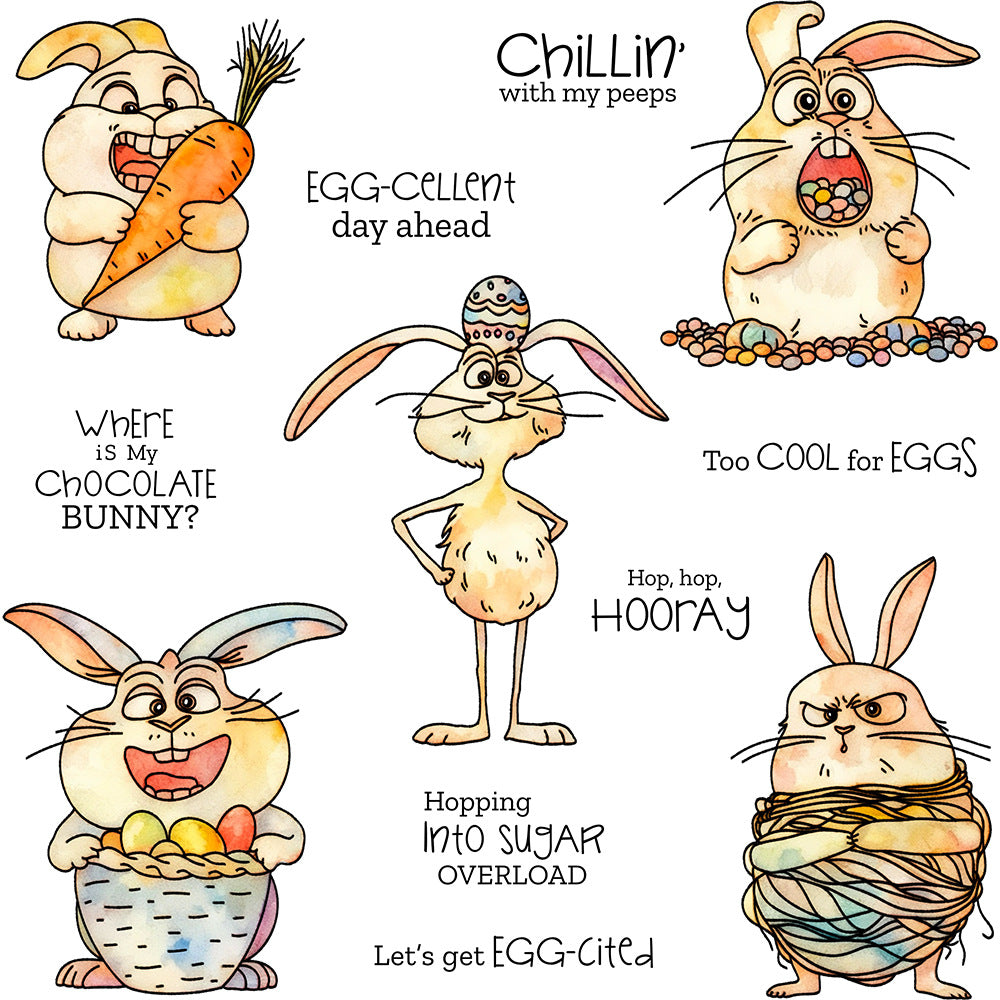Funny Rabbit Dies & Stamps Set