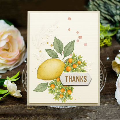 Fruit Pattern DIY Scrapbook Clear Stamps