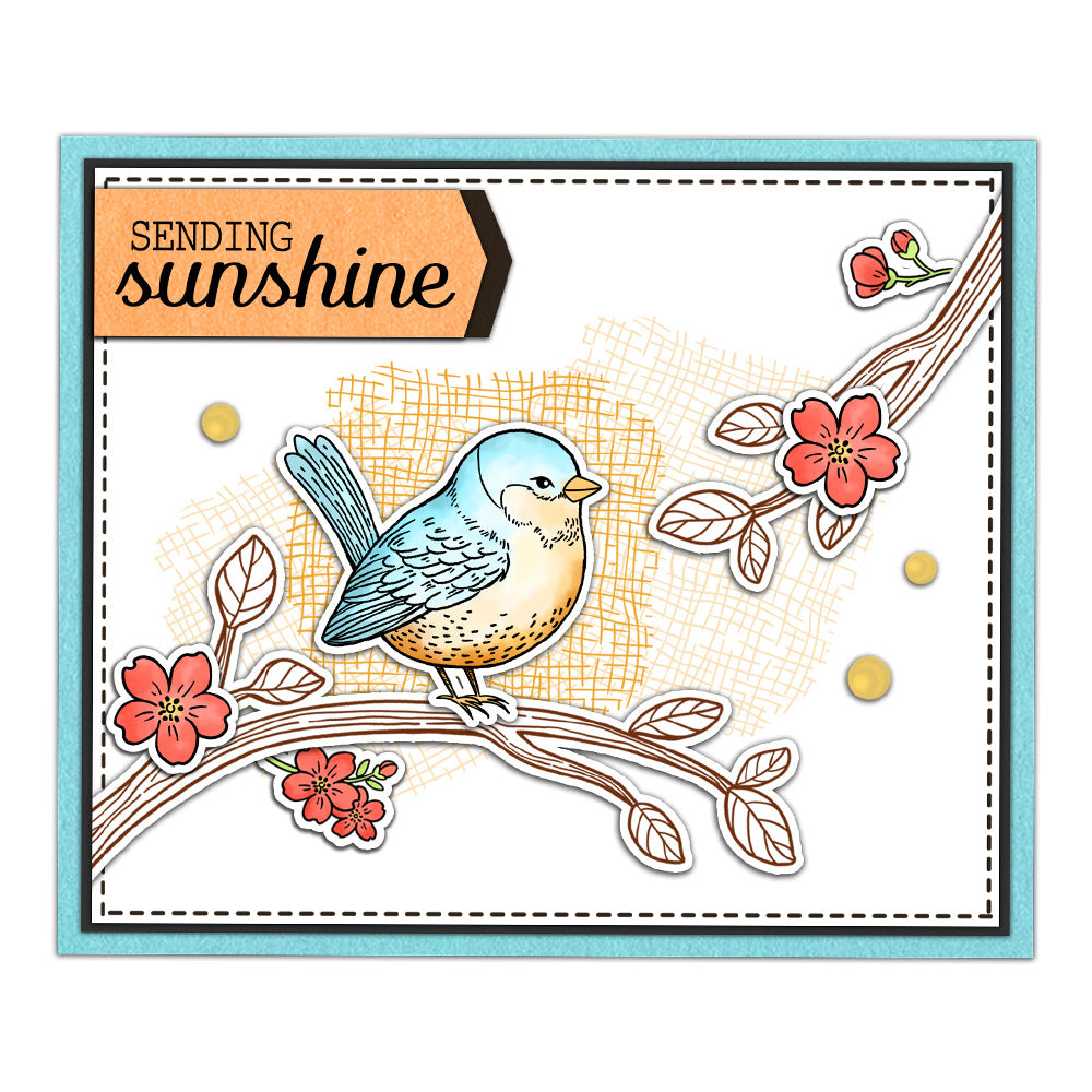 New Bird Series Dies & Stamps Set