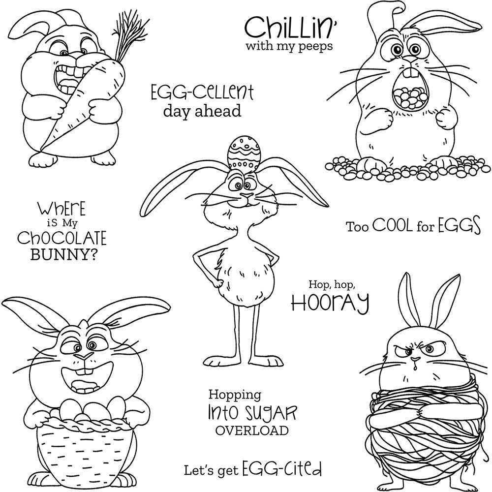 Funny Rabbit Dies & Stamps Set