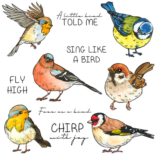 Cute Birds Dies & Stamps Set