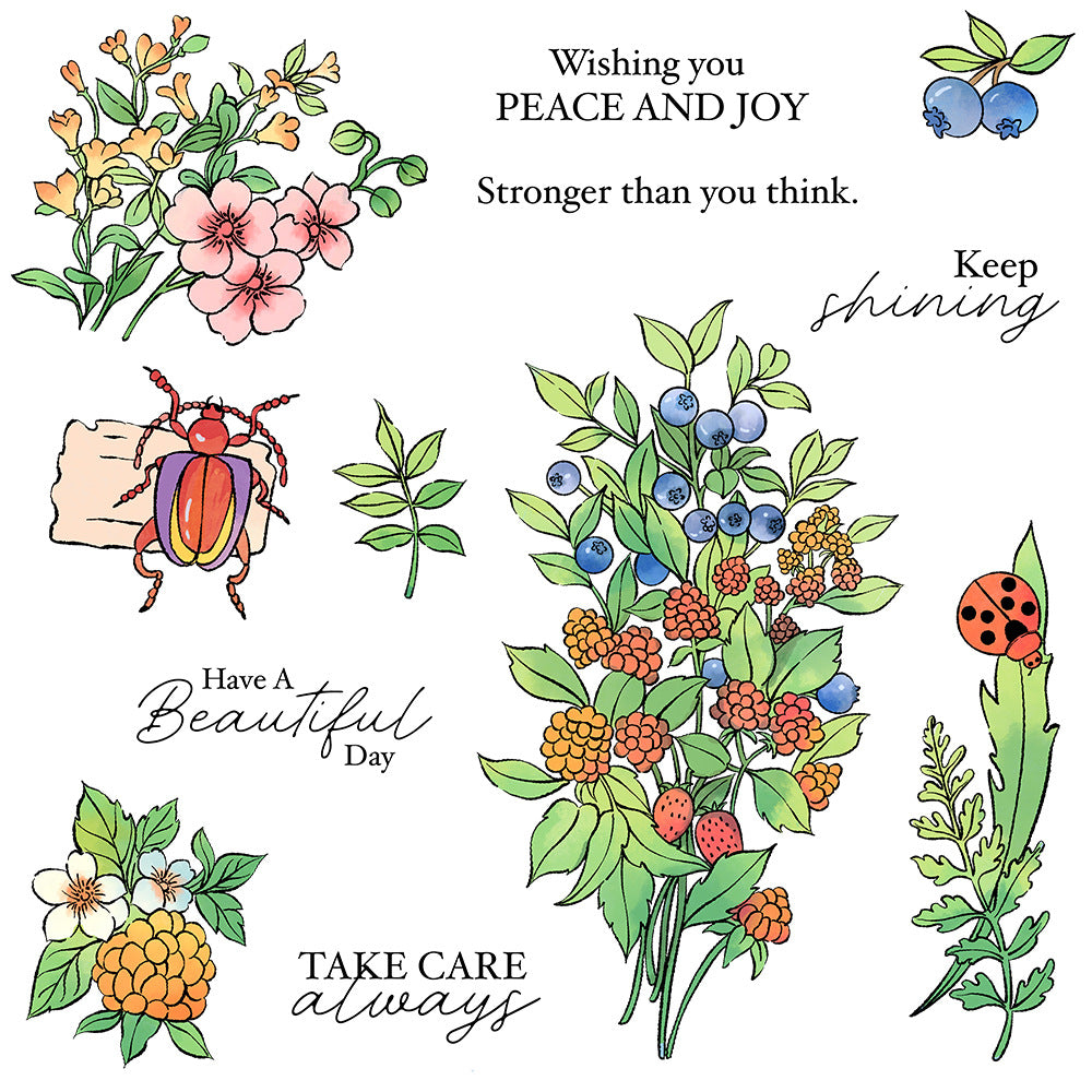 Blueberry Insects Clear Stamps