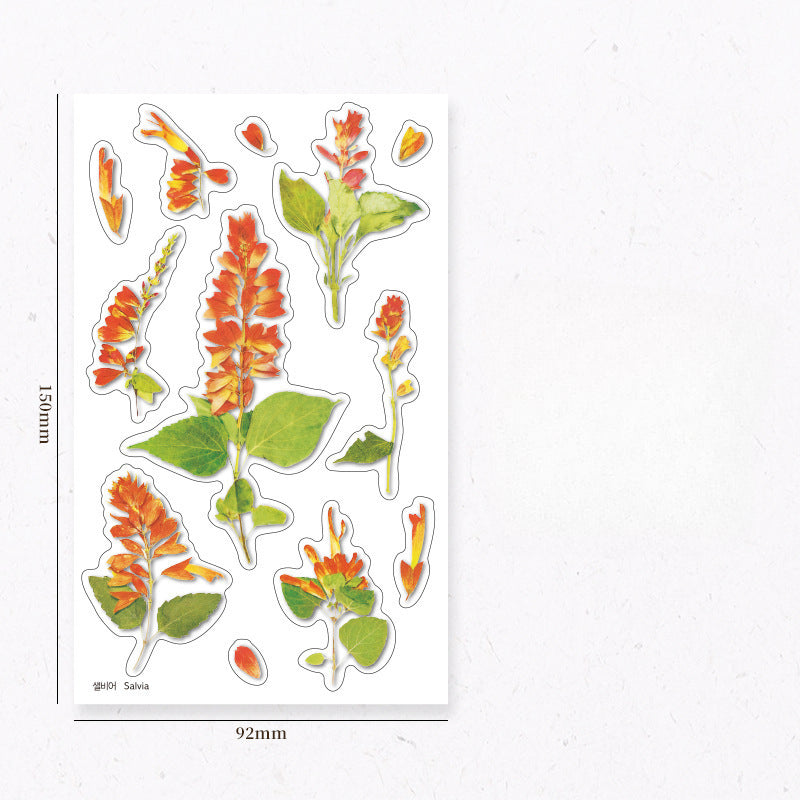 Creative Flower Transparent PVC Stickers