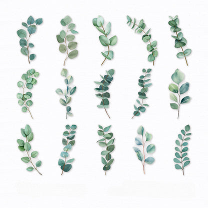 Plant Leaves Series PET Stickers DIY Collage